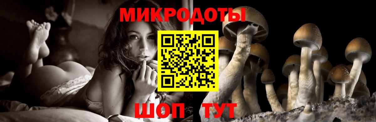 Галлюциногенные грибы GOLDEN TEACHER  Вход с VPN  Югорск 